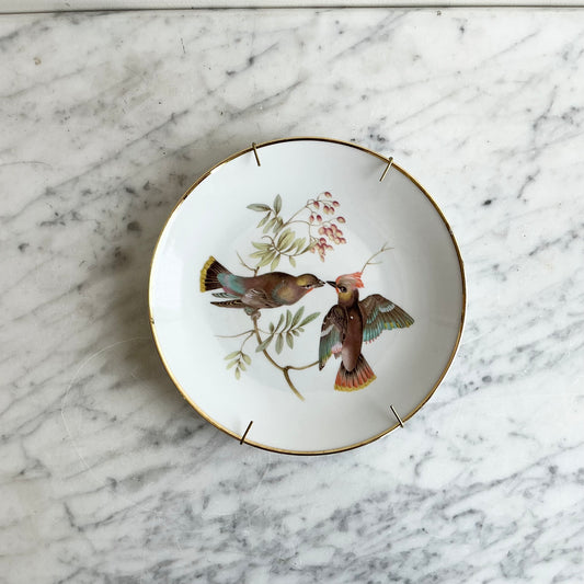 Vintage German Bird Plate by Bavaria