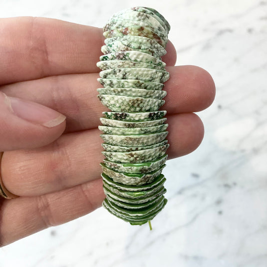Green Shell Bracelet