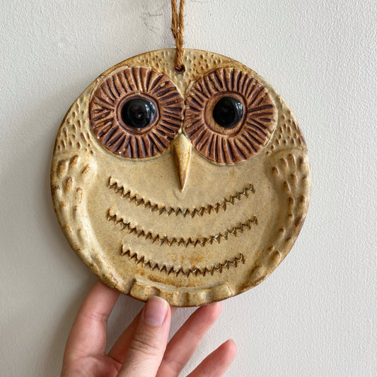 Vintage 1970's Ceramic Owl Wall Hanging