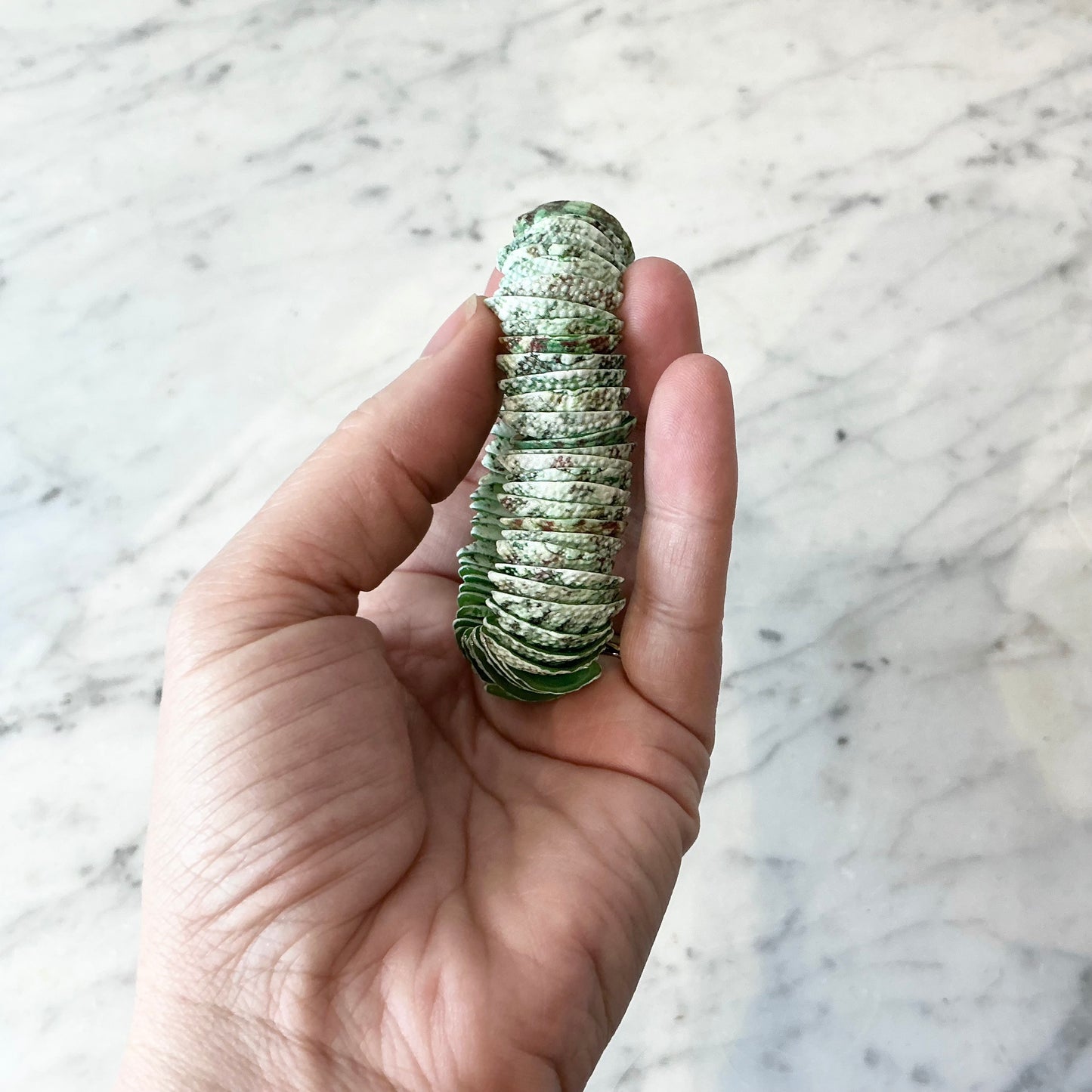 Green Shell Bracelet