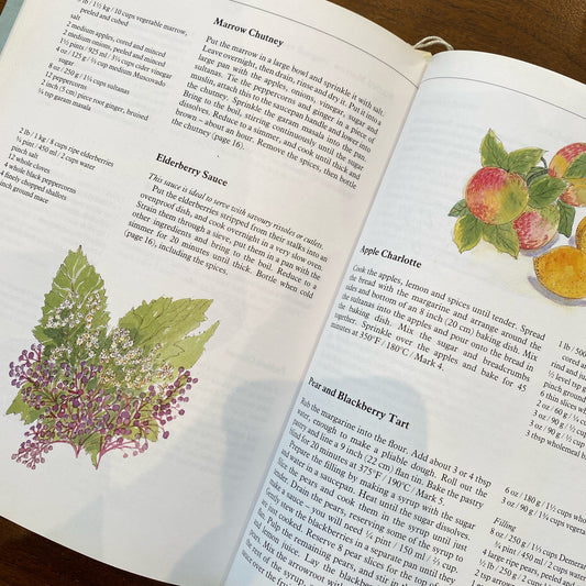 Book: “The Wholefood Harvest Cookbook” (1990)