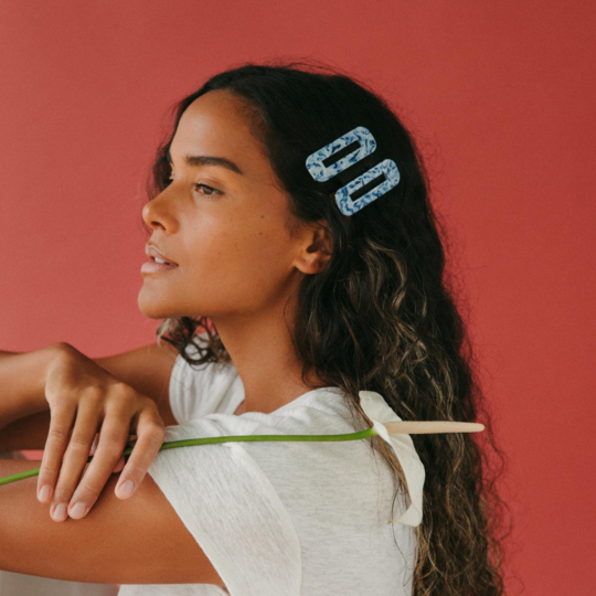 Tortoise Clip Duo, Ocean