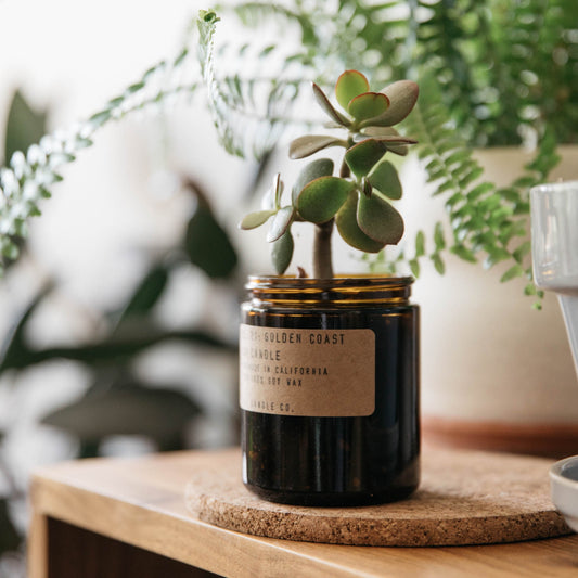 P.F. CANDLE CO. : Standard Soy Candle, Choose