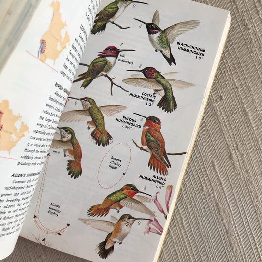 Book: BIRDS OF NORTH AMERICA