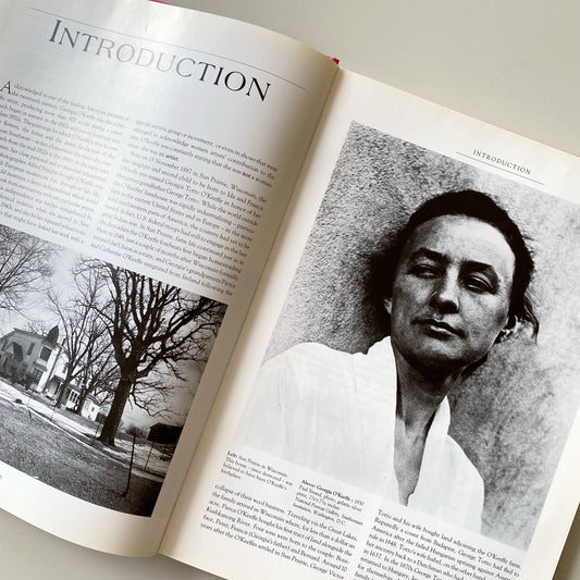 Book: Georgia O’Keeffe, by Maria Costantino