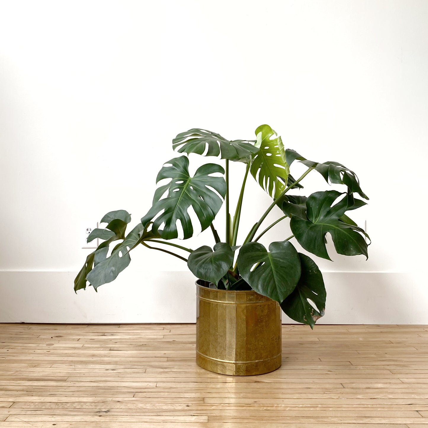 XXL Vintage Brass Planter