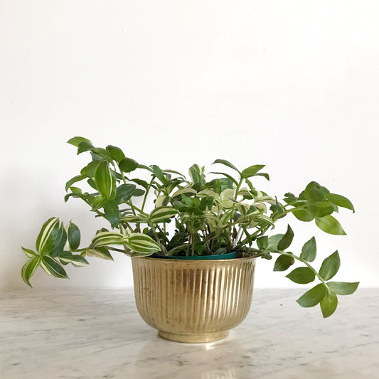 Vintage Brass Planter, Vertical Stripes