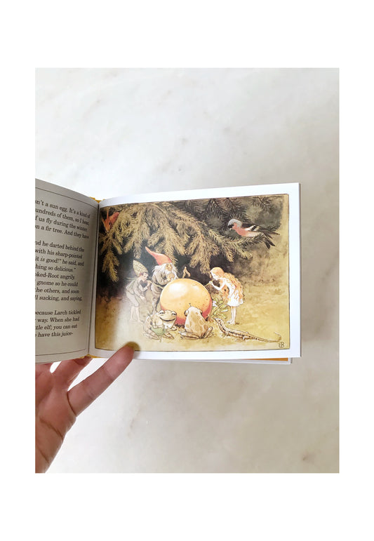 The Sun Egg, Mini Book