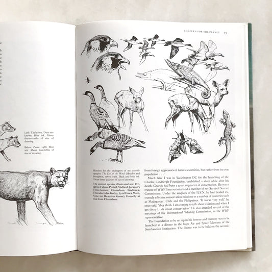 Book: Peter Scott: Observations of Wildlife