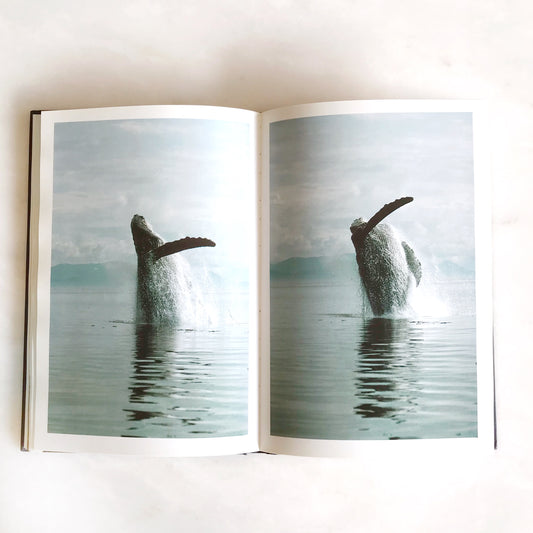 Book: Whale Nation