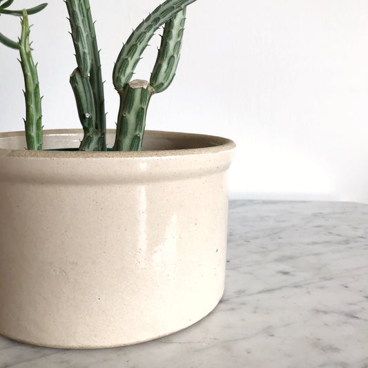 Vintage Sandy Stoneware Crock Planter
