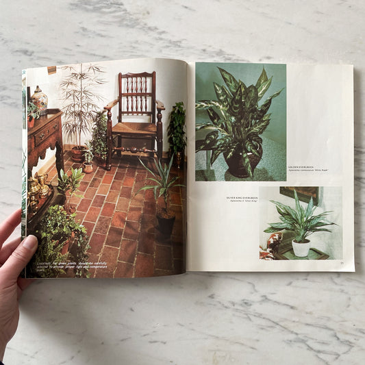 Book: Professional Guide to Green Plants (1976)
