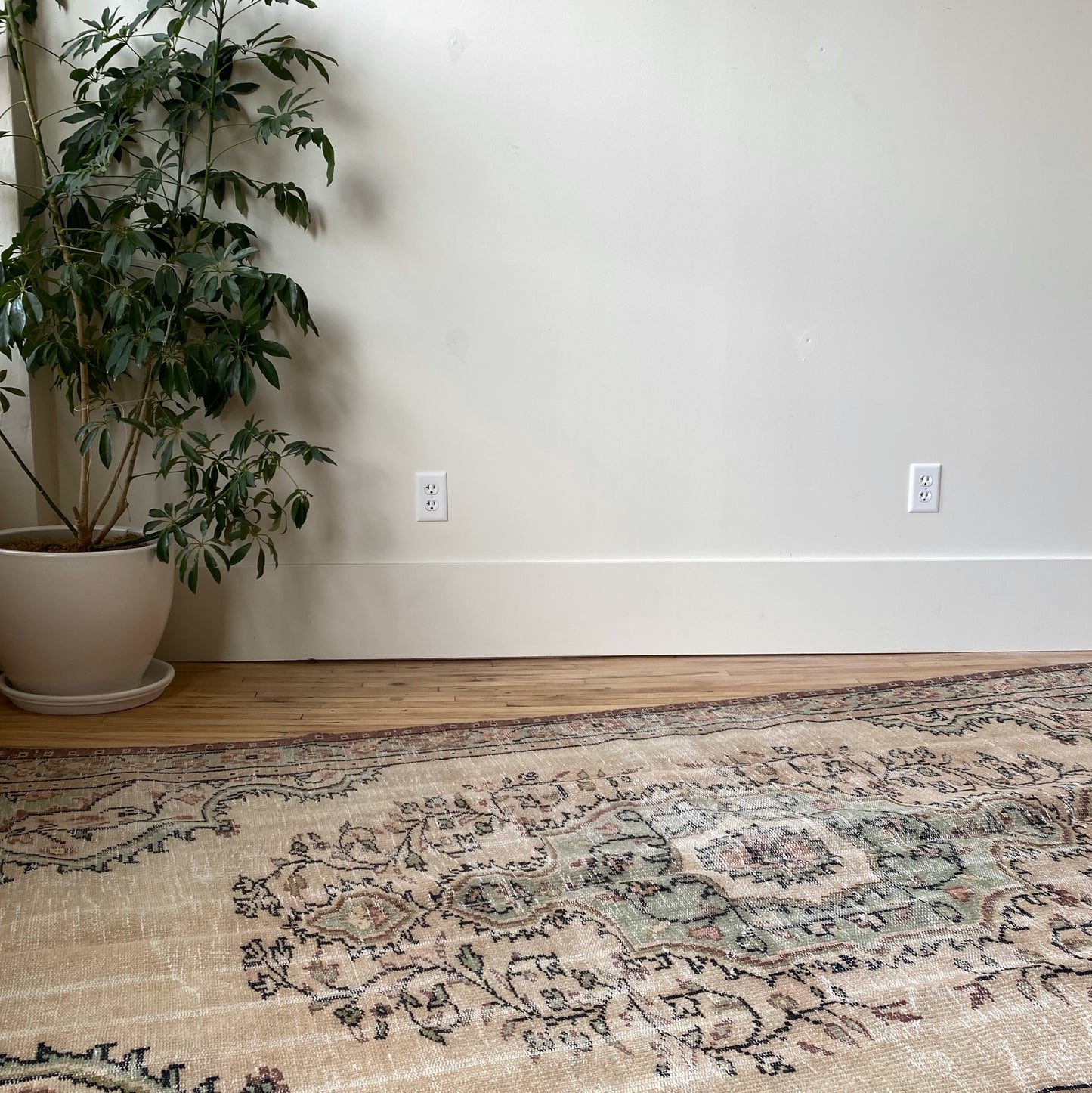 ANNA (5’2” x 8’9”)