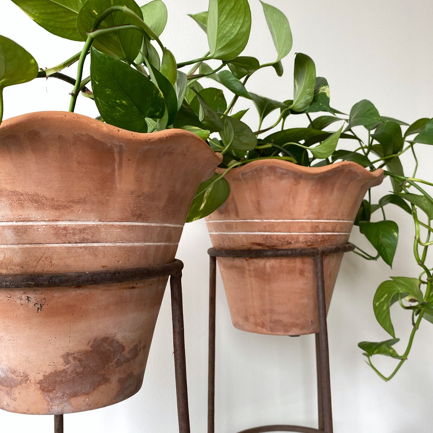 Single Vintage Terracotta Planter with Iron Stand