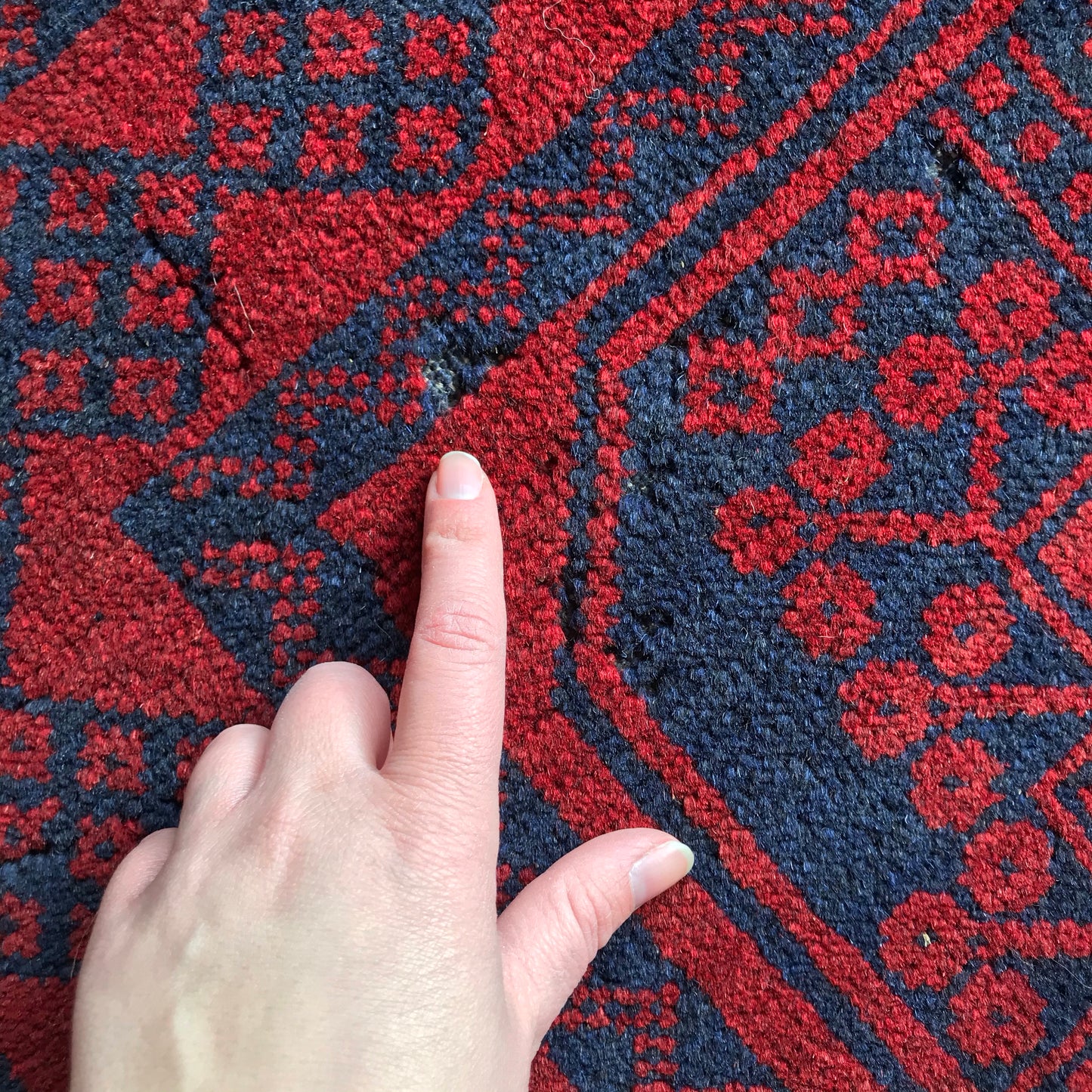 Wesley | Area Rug | 3 x 5.6