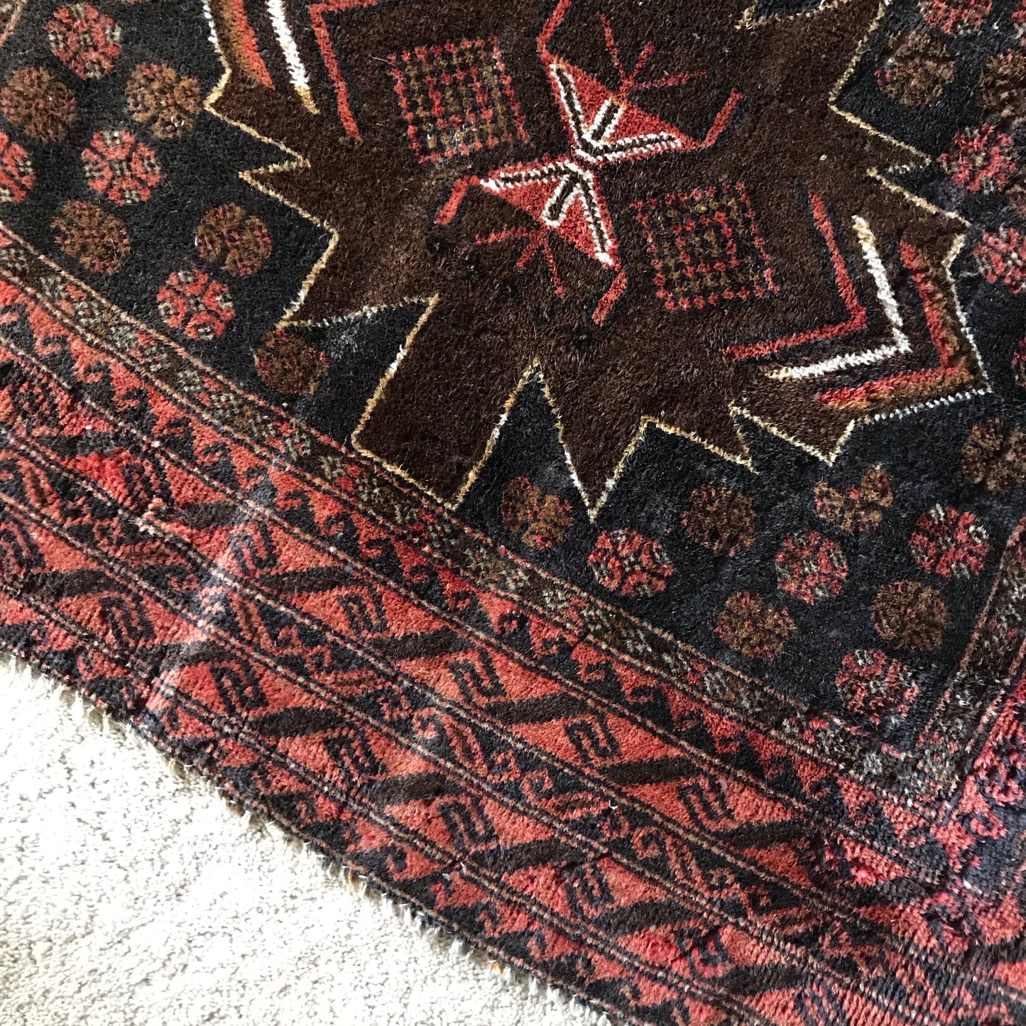 "MABEL" (3.10 x 6.5)