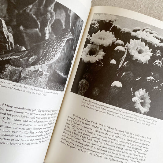 Book: Arizona the Beautiful