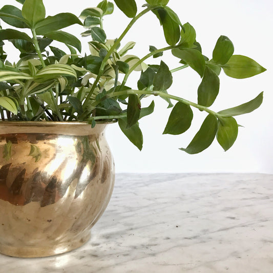 Vintage Brass Planter with Swirled Pattern