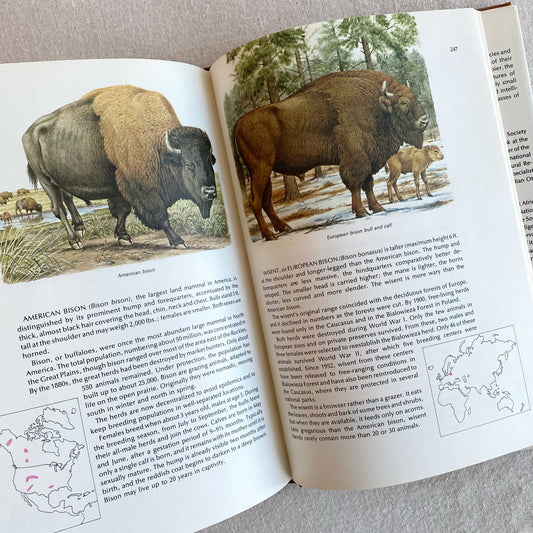 Book: World Guide to Mammals, 1976