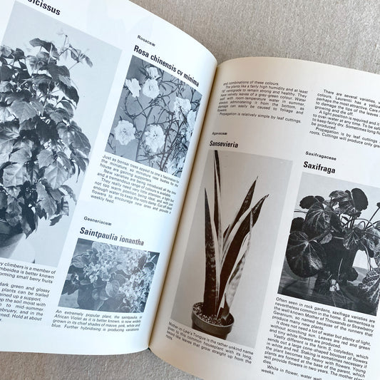 Book: Indoor Plants, 1973