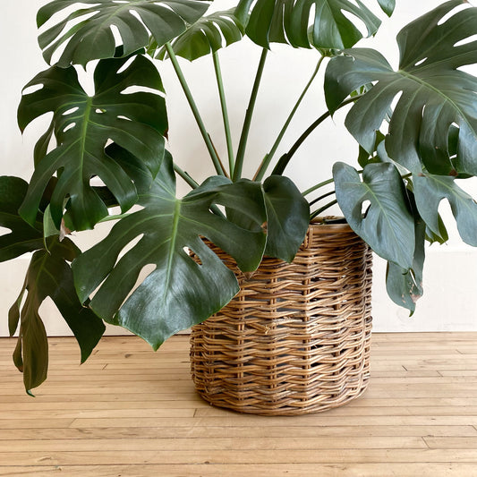 Large Found Vintage Natural Woven Basket