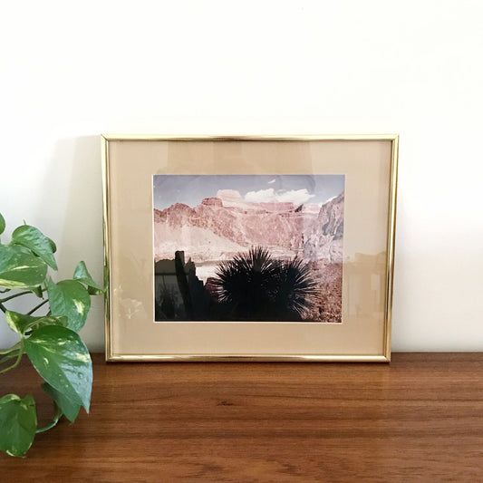 Vintage Photograph, Southwestern Landscape