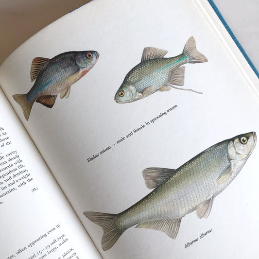 Book: Fresh-Water Fishes
