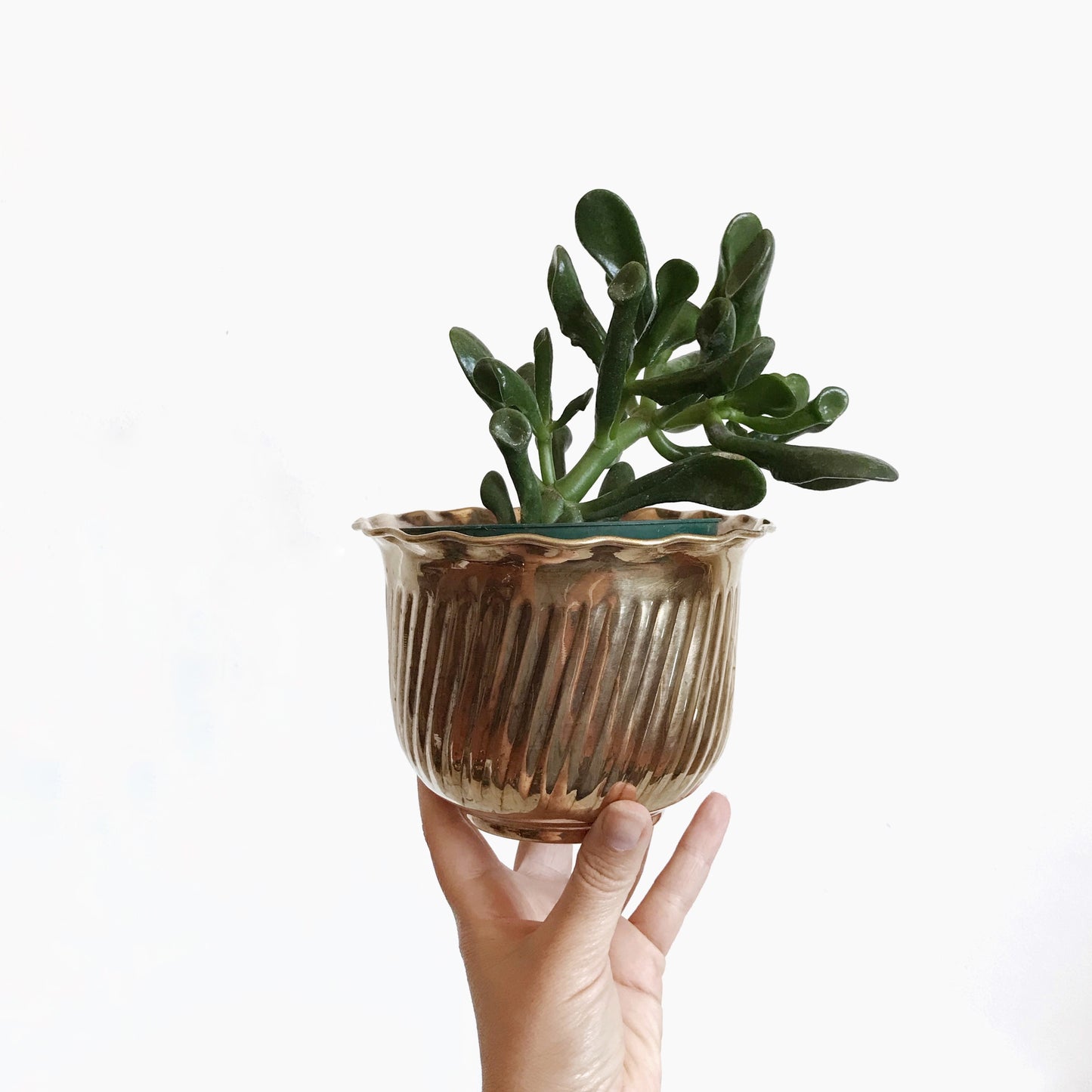 Vintage Brass Planter with Angled Ribbing