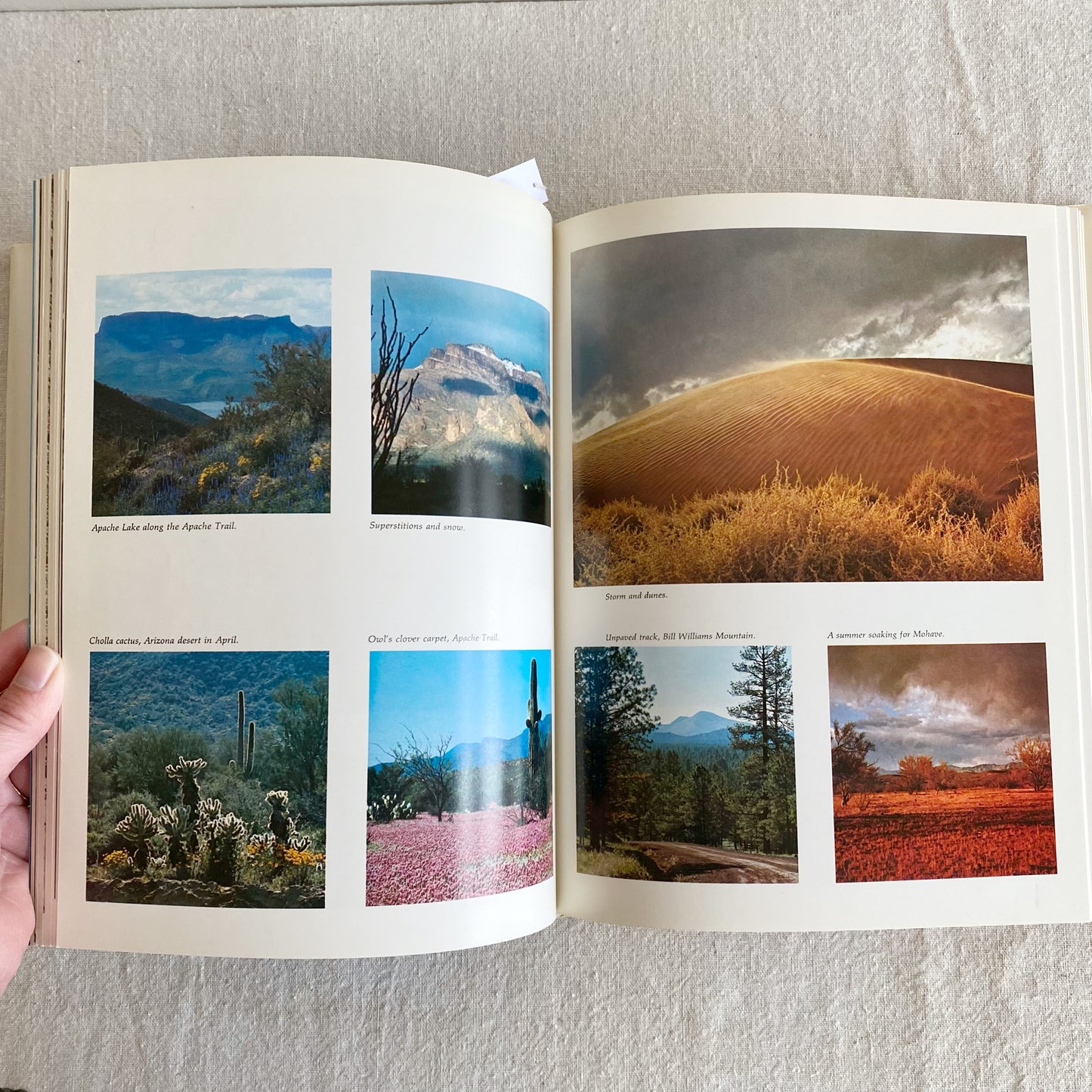 Book: Arizona the Beautiful