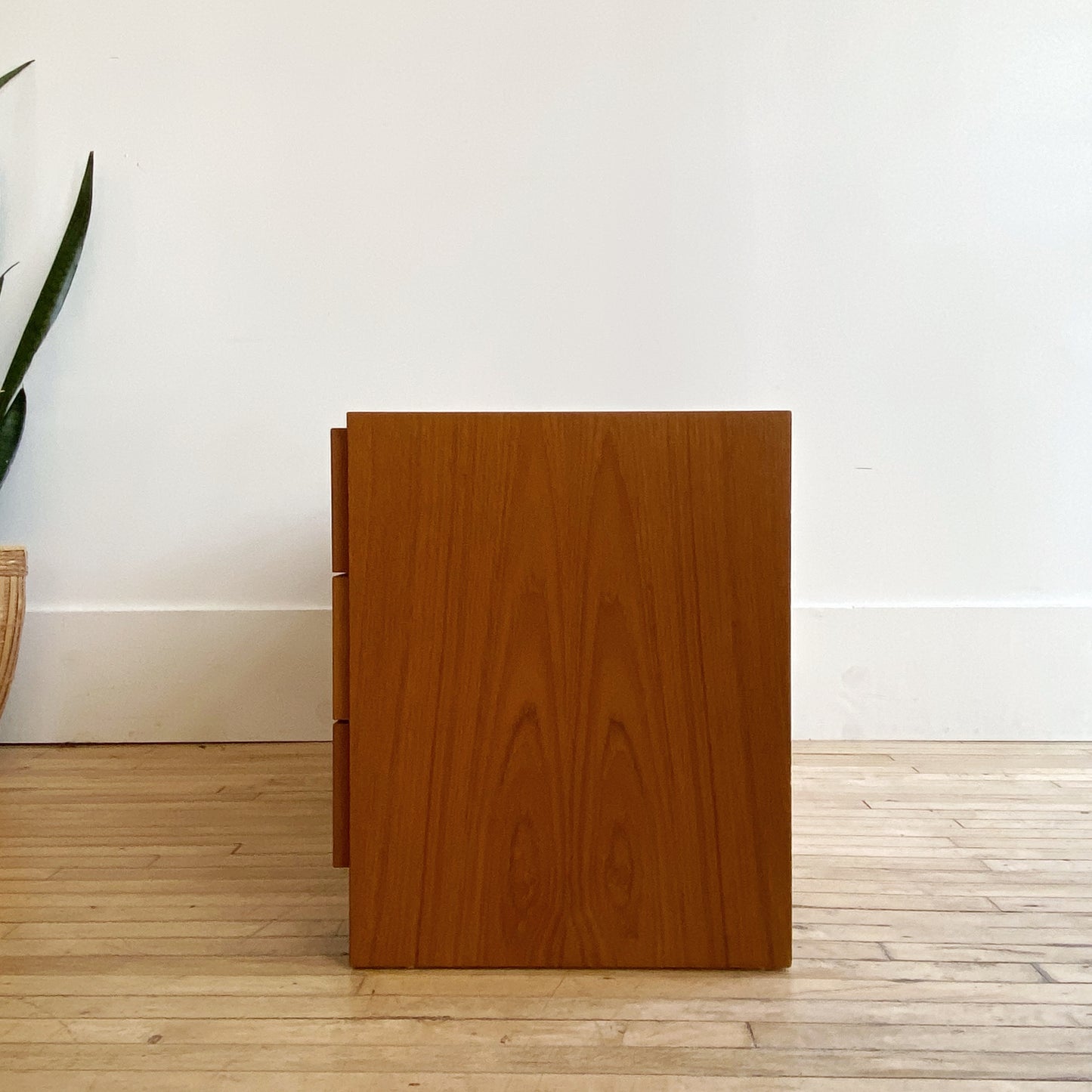 Petite Vintage Danish Teak Cabinet / Media Stand