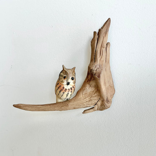 Vintage Carved Owl + Driftwood Art