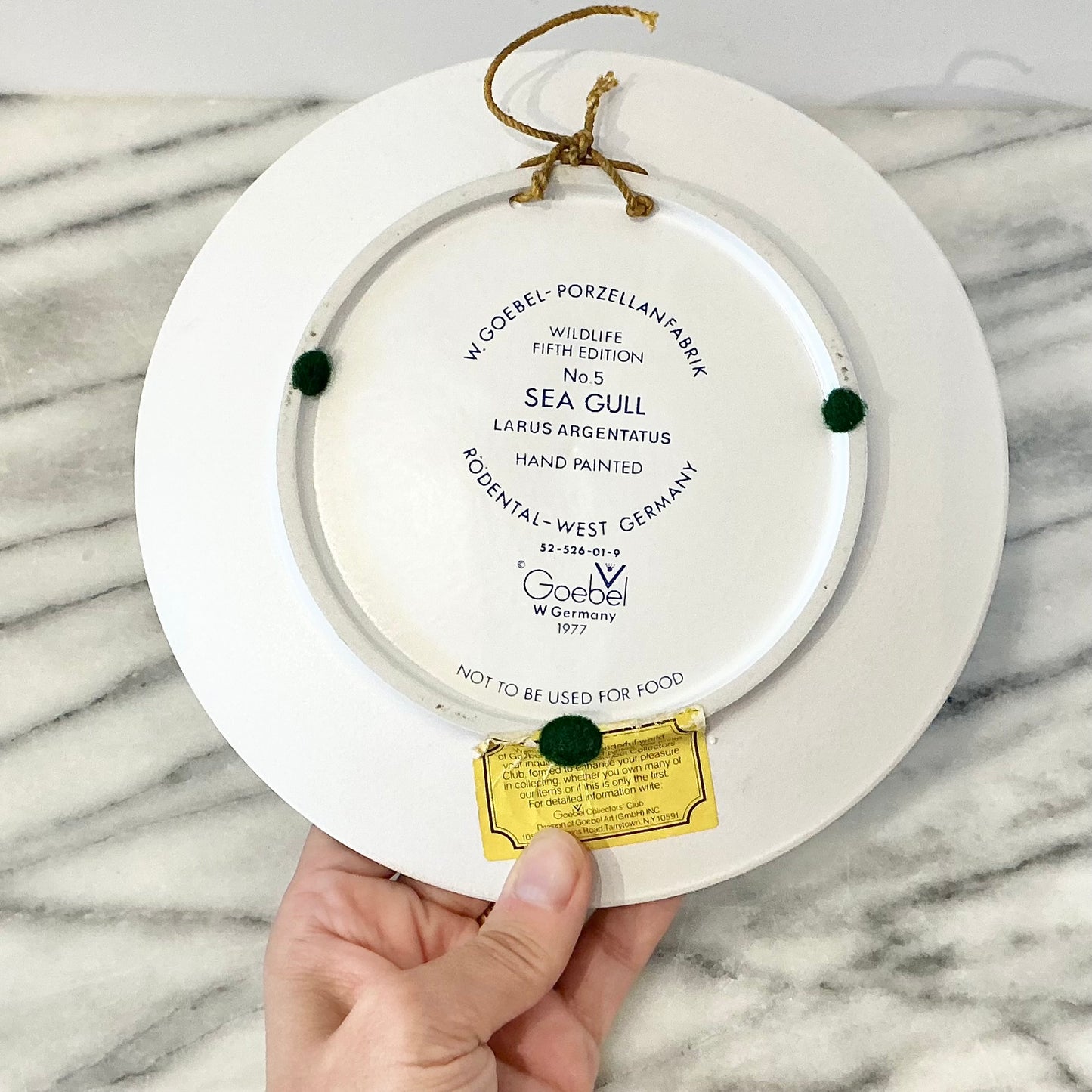 Vintage Seagull Wall Plate (Circa 1977)