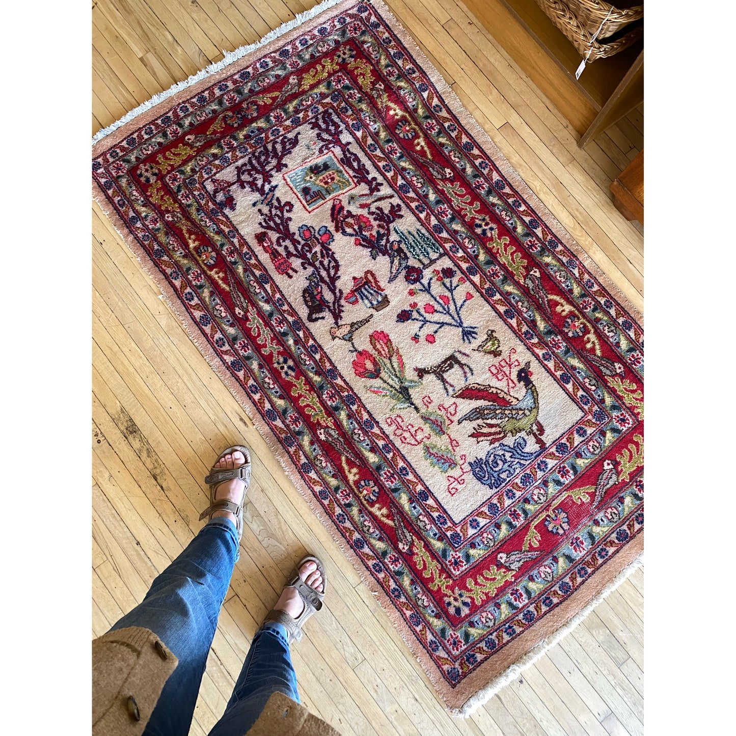 Vintage Hand-knotted Rug with Plants + Animals (3.4 x 5.7)