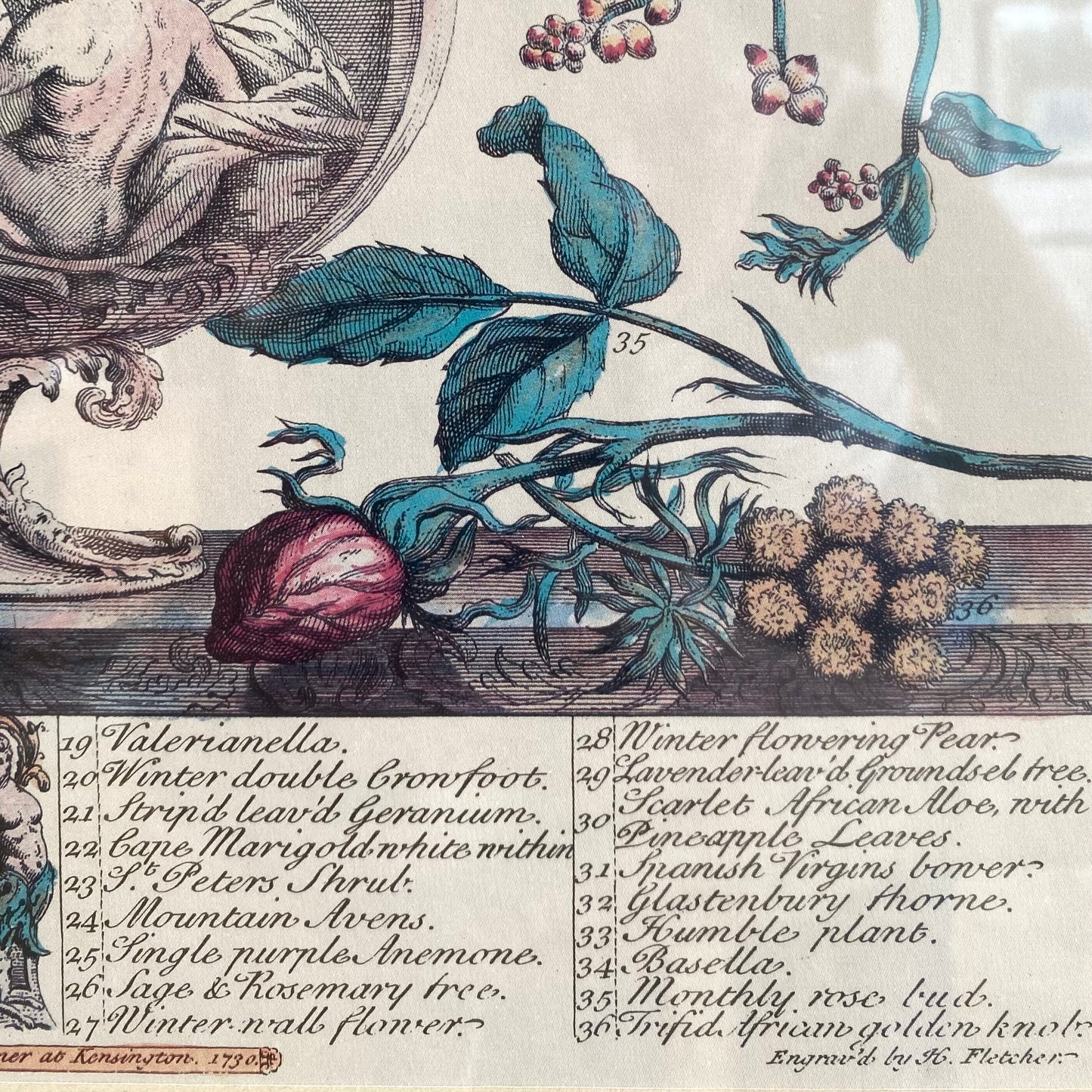 Vintage Framed “December” Flowers Print