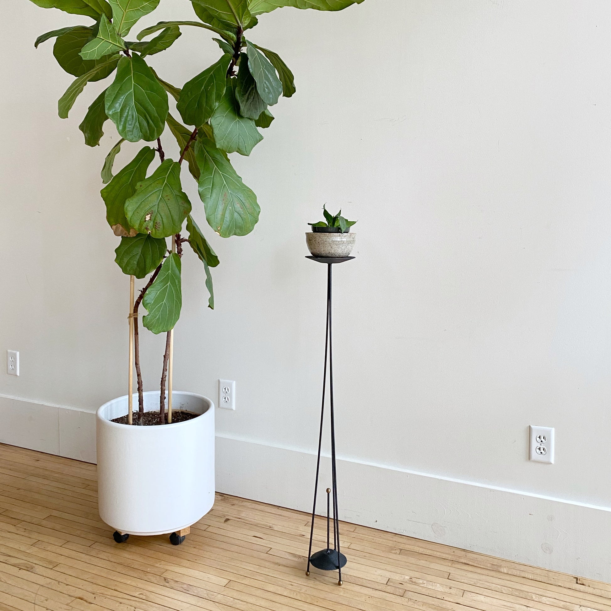 candlestick plant indoors Vintage MCM Candle / Plant Stand – HAUS THEORY