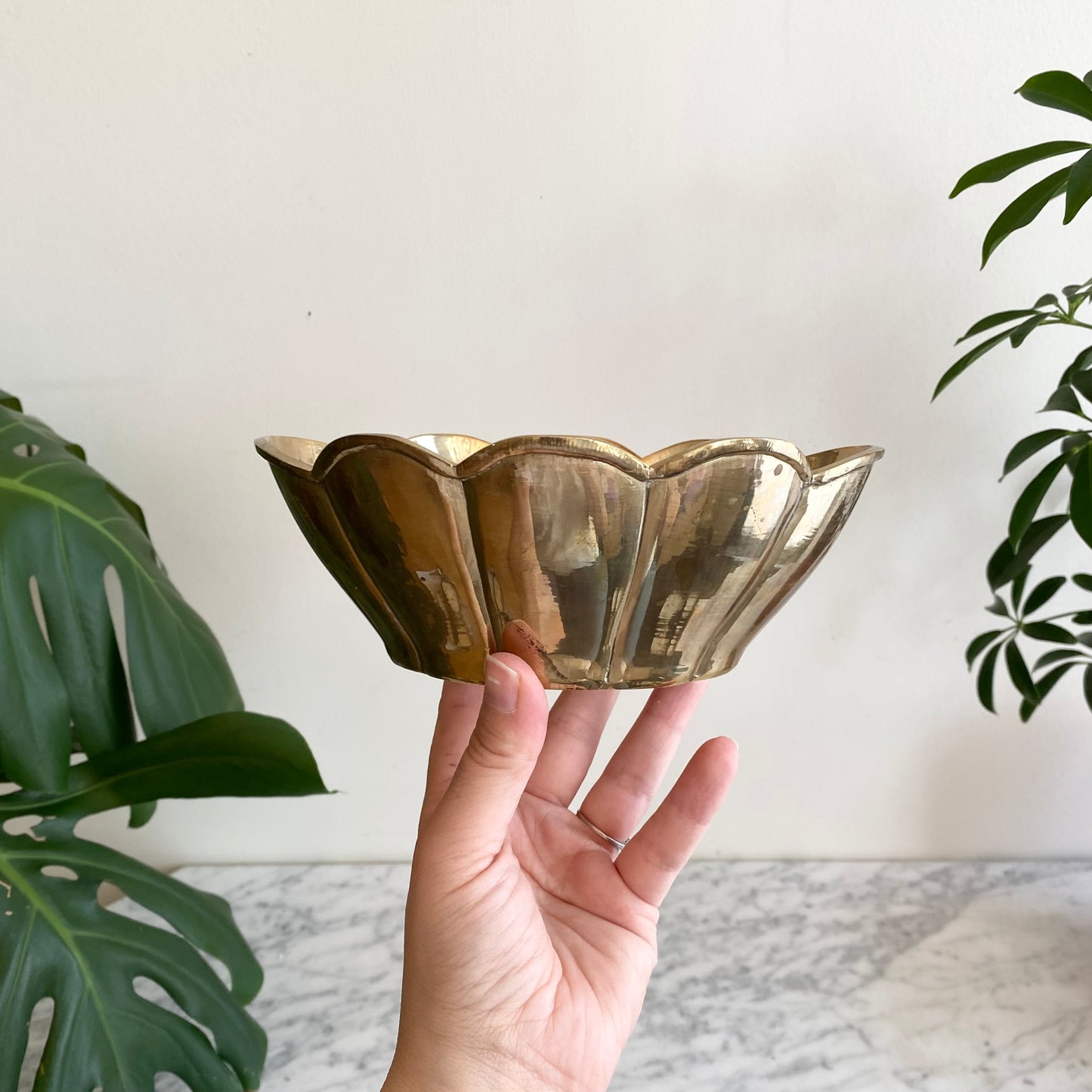 Haus Theory x Burn Boss (010)