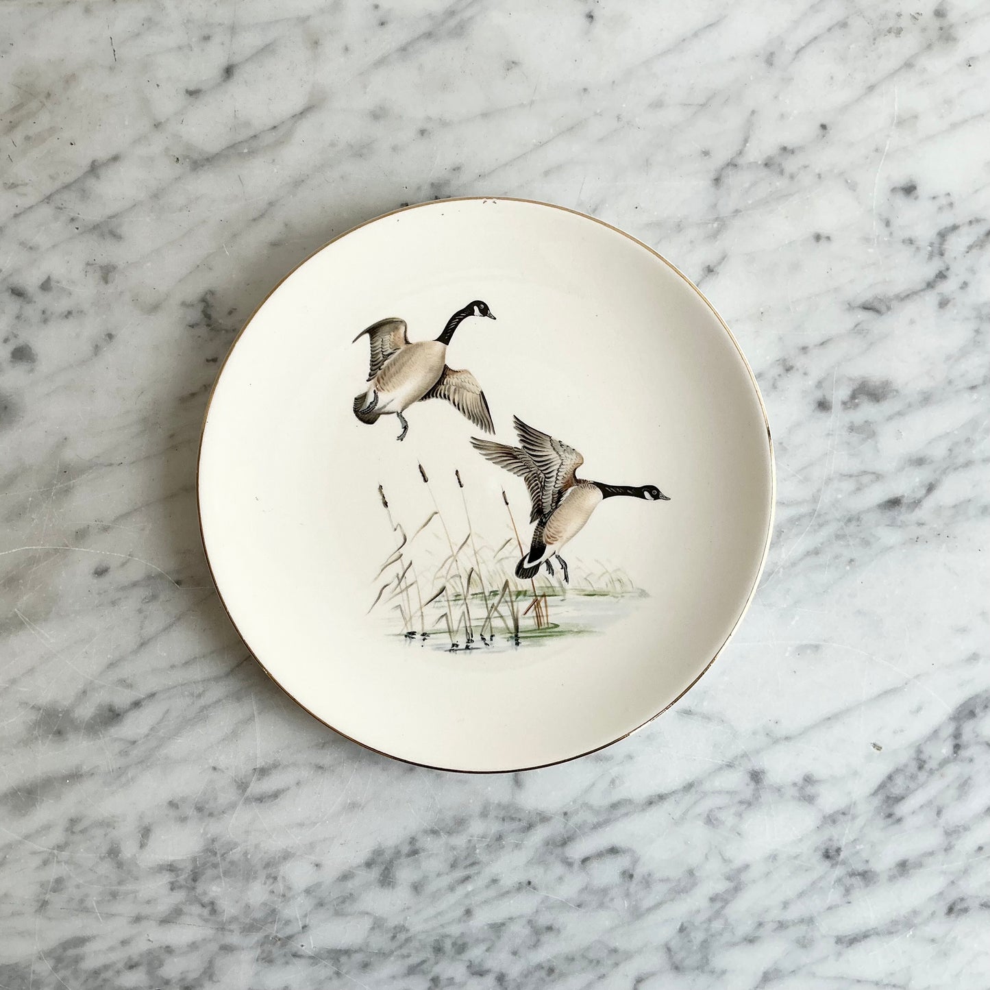 Vintage Decorative Bird Plate, Choose