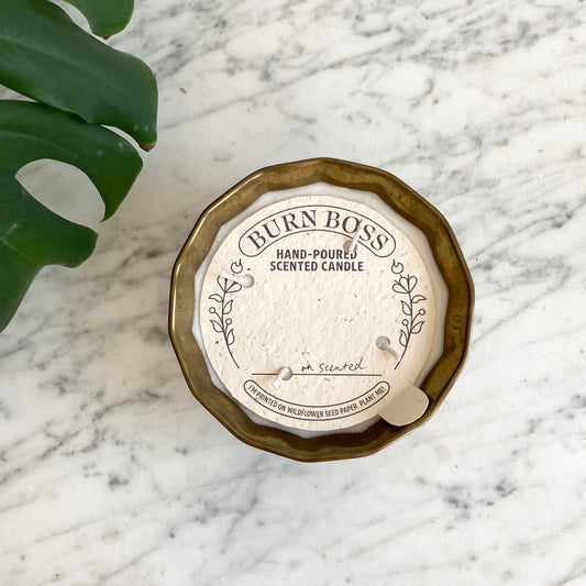 Haus Theory x Burn Boss (009)