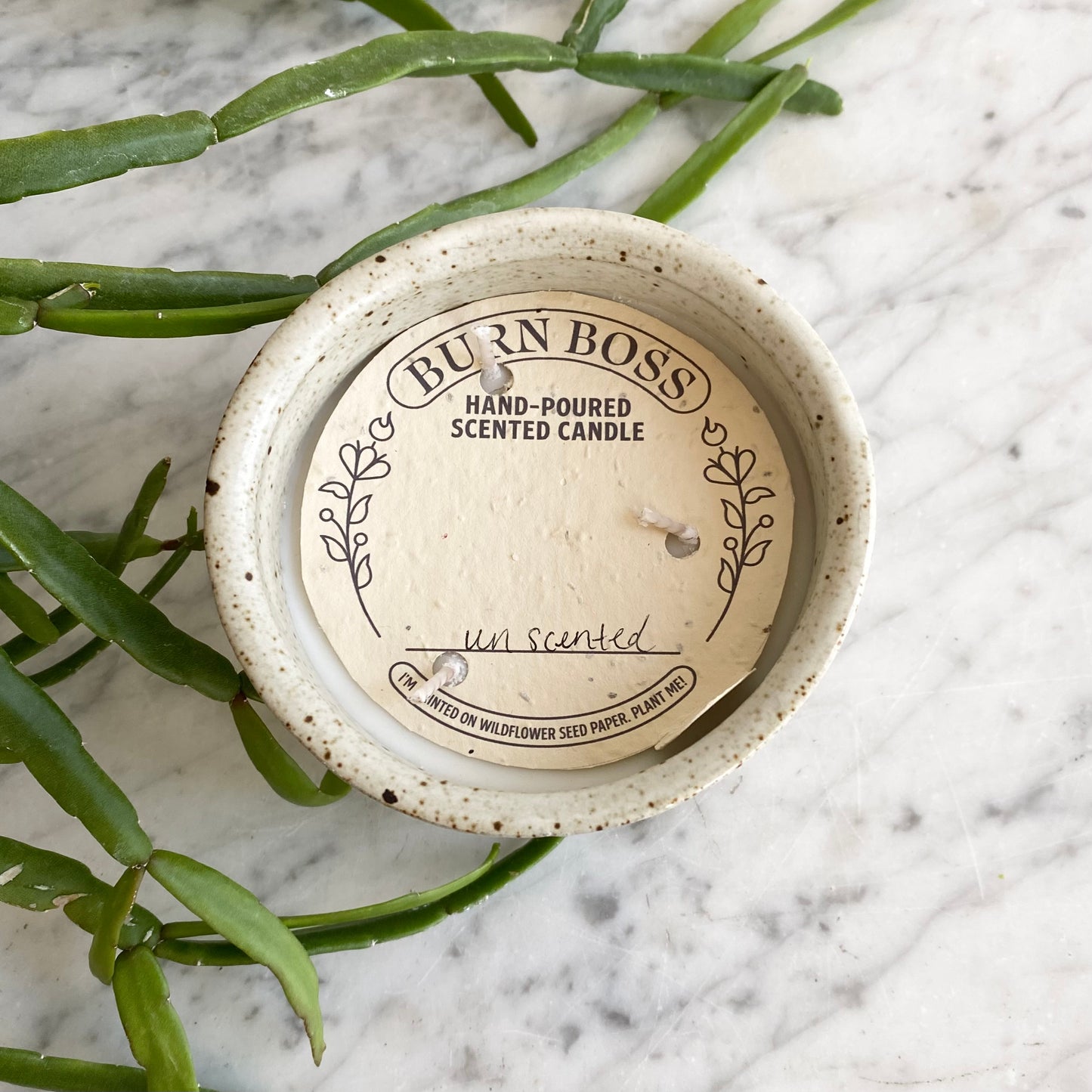 Haus Theory x Burn Boss (013)