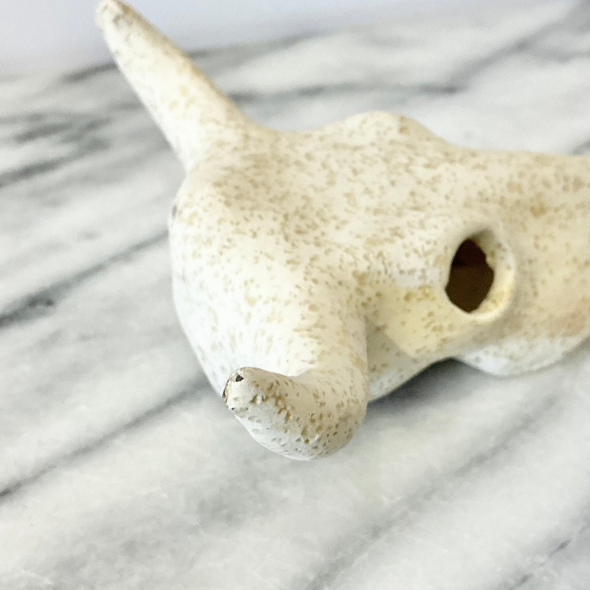 Small Ceramic Skull, 4.5"