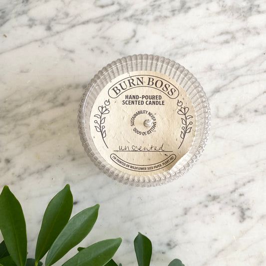 Haus Theory x Burn Boss (008)