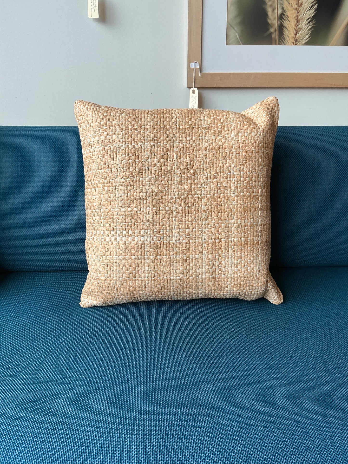 Woven Reed Pillows, Choose