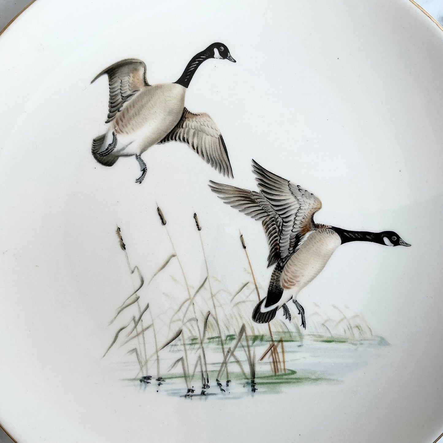 Vintage Decorative Bird Plate, Choose