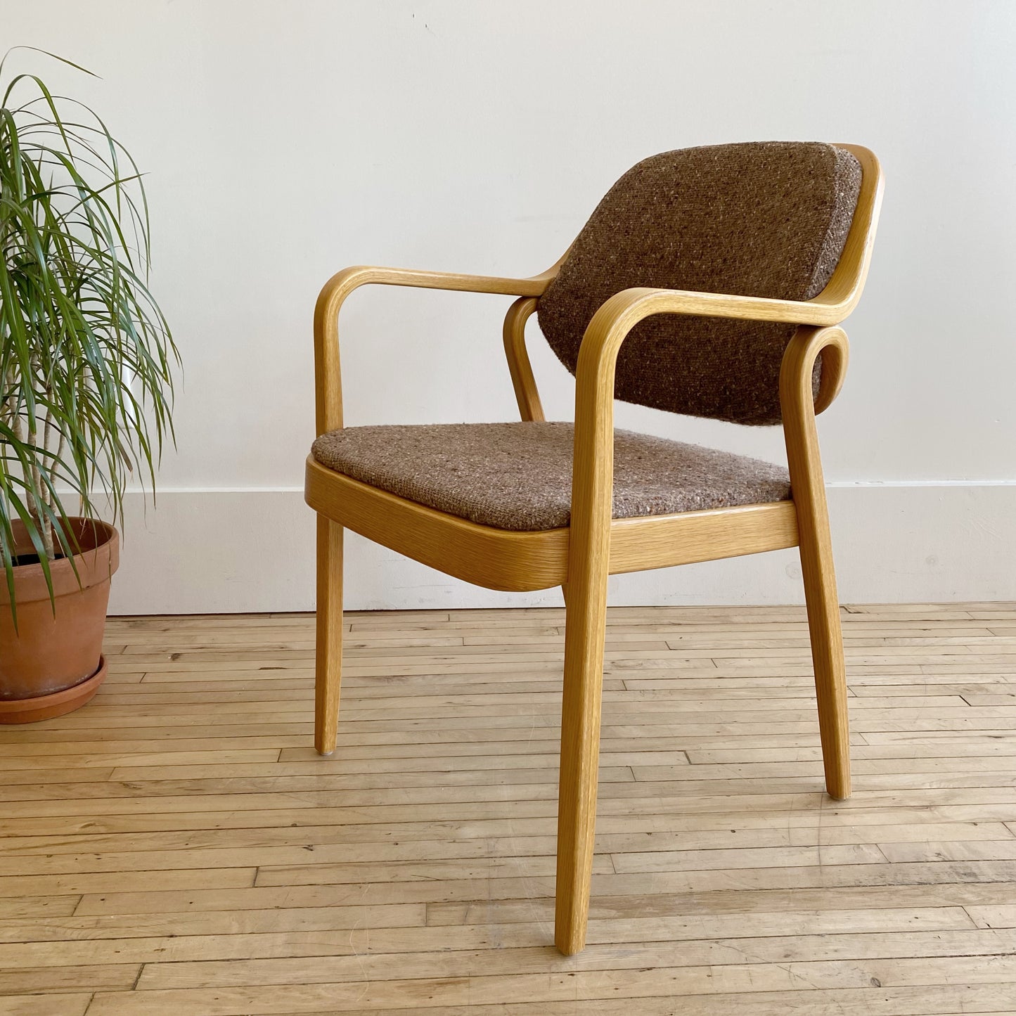 Vintage Bentwood Armchair, Don Pettit for Knoll (Single)