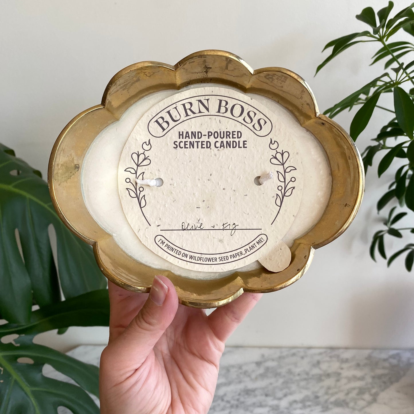 Haus Theory x Burn Boss (010)