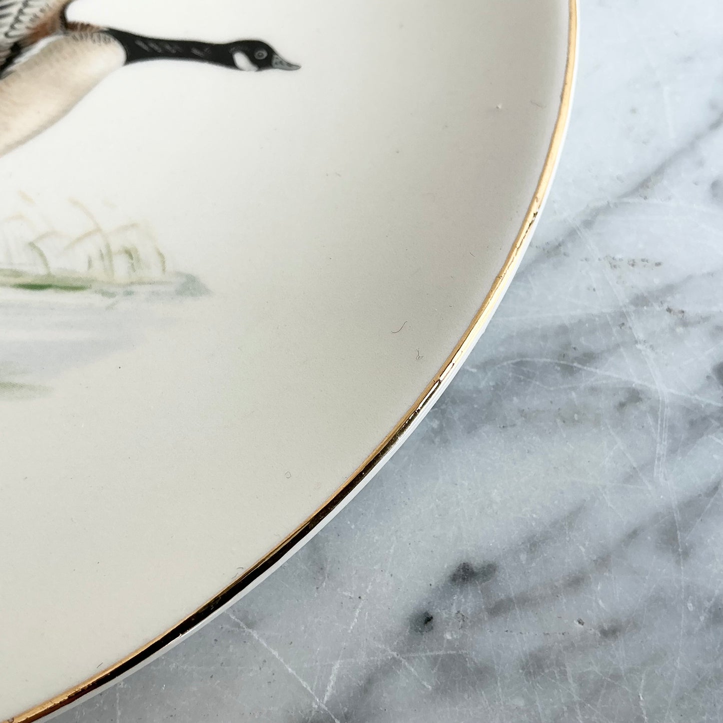 Vintage Decorative Bird Plate, Choose