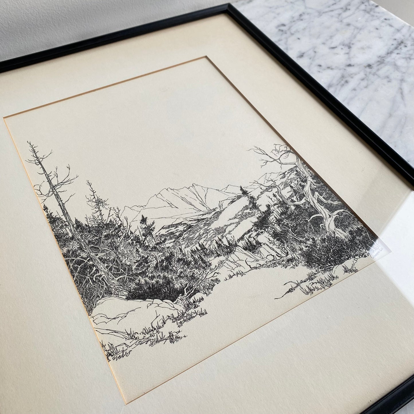 Vintage Framed Nature Etching Print (14 x 17)
