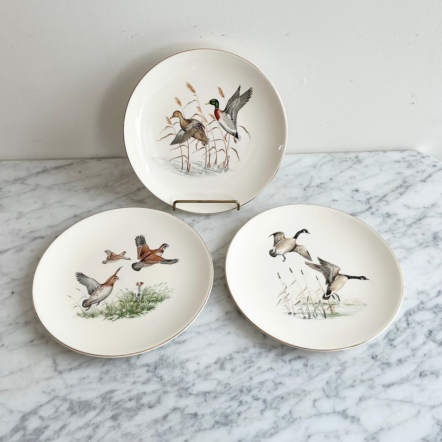 Vintage Decorative Bird Plate, Choose