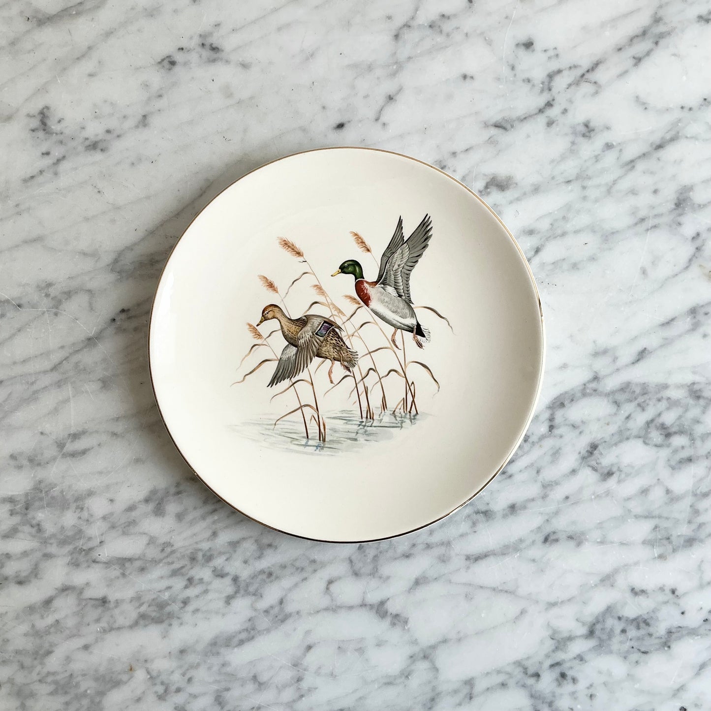 Vintage Decorative Bird Plate, Choose