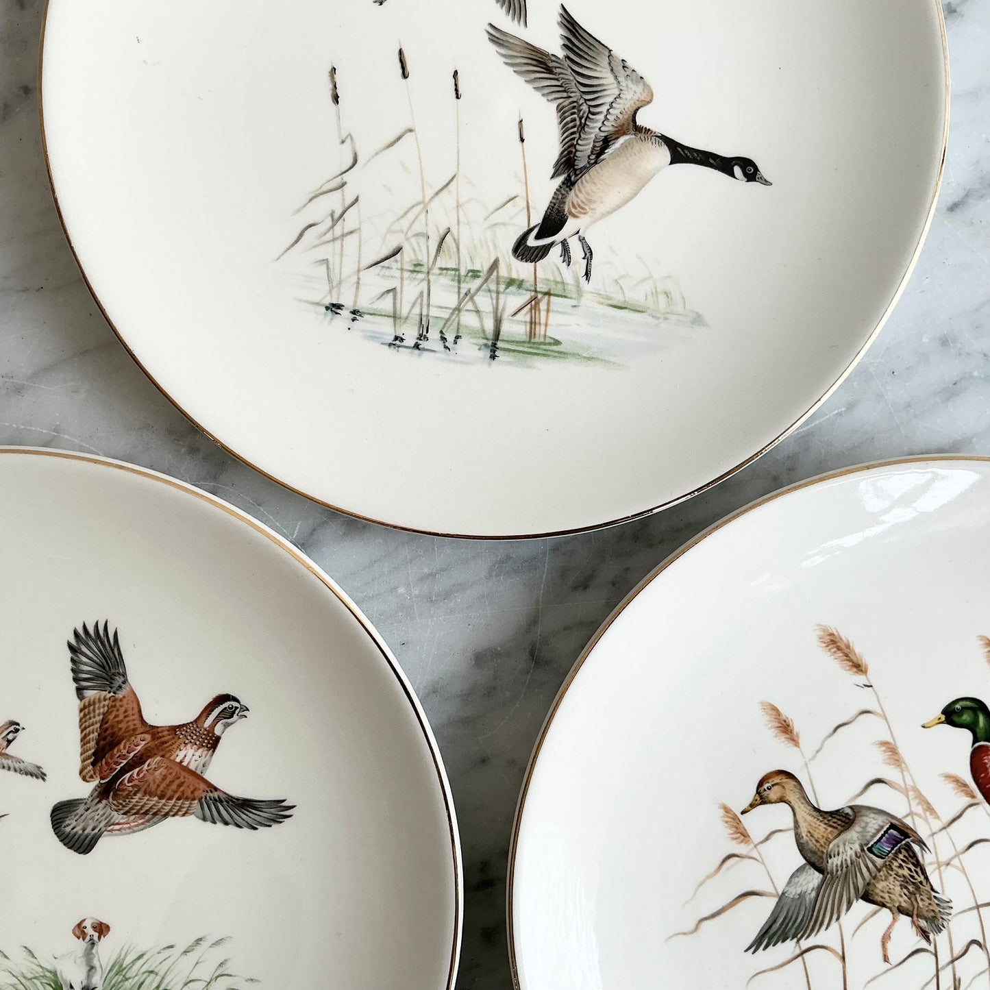 Vintage Decorative Bird Plate, Choose